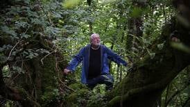 Ireland’s native trees facing danger ‘from disease and threats to gene pool’