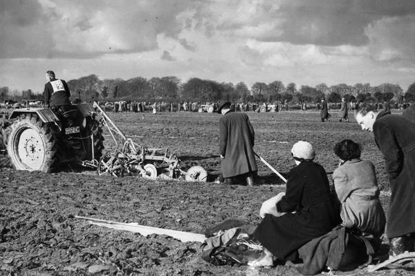 The Times We Lived In – Ladies who lunch in the short grass