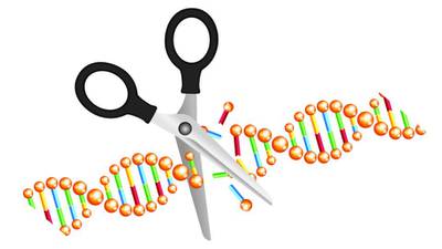 Gene-editing: Where do you draw the line?